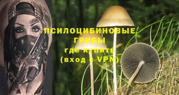 шишки Горняк